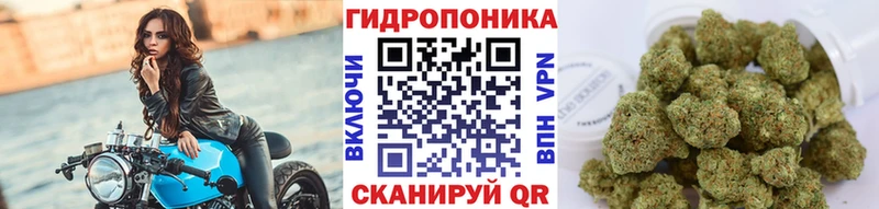 Конопля Amnesia  как найти   Липецк 